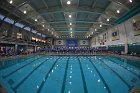 Swimming & Diving vs RWU  Swimming & Diving vs Roger Williams University. - Photo by Keith Nordstrom : Wheaton, Swimming